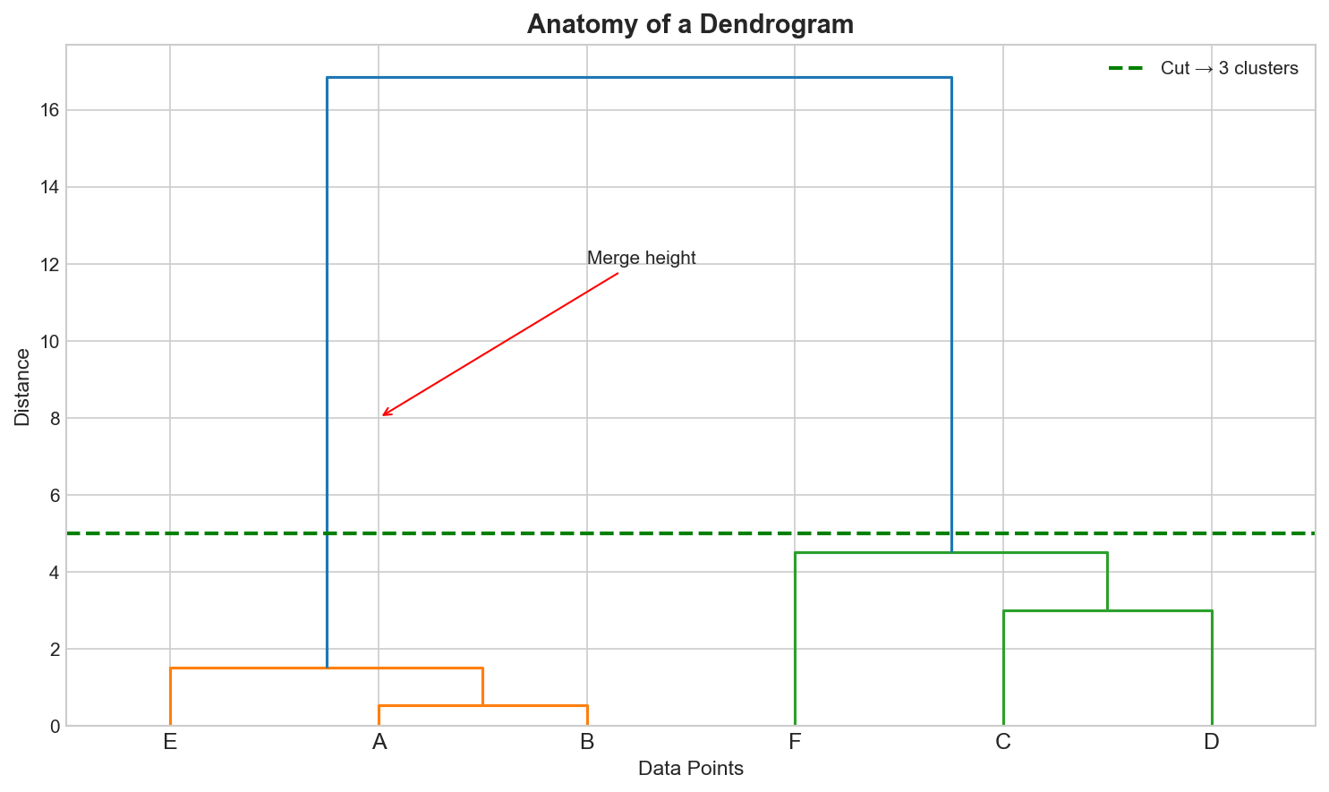 Anatomy of a dendrogram
