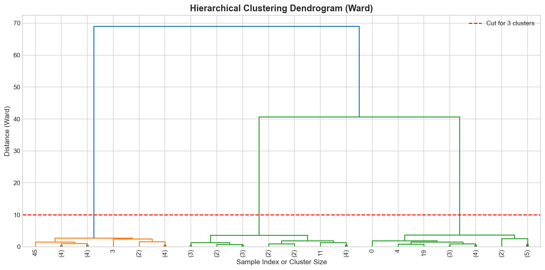 Dendrogram with cut line