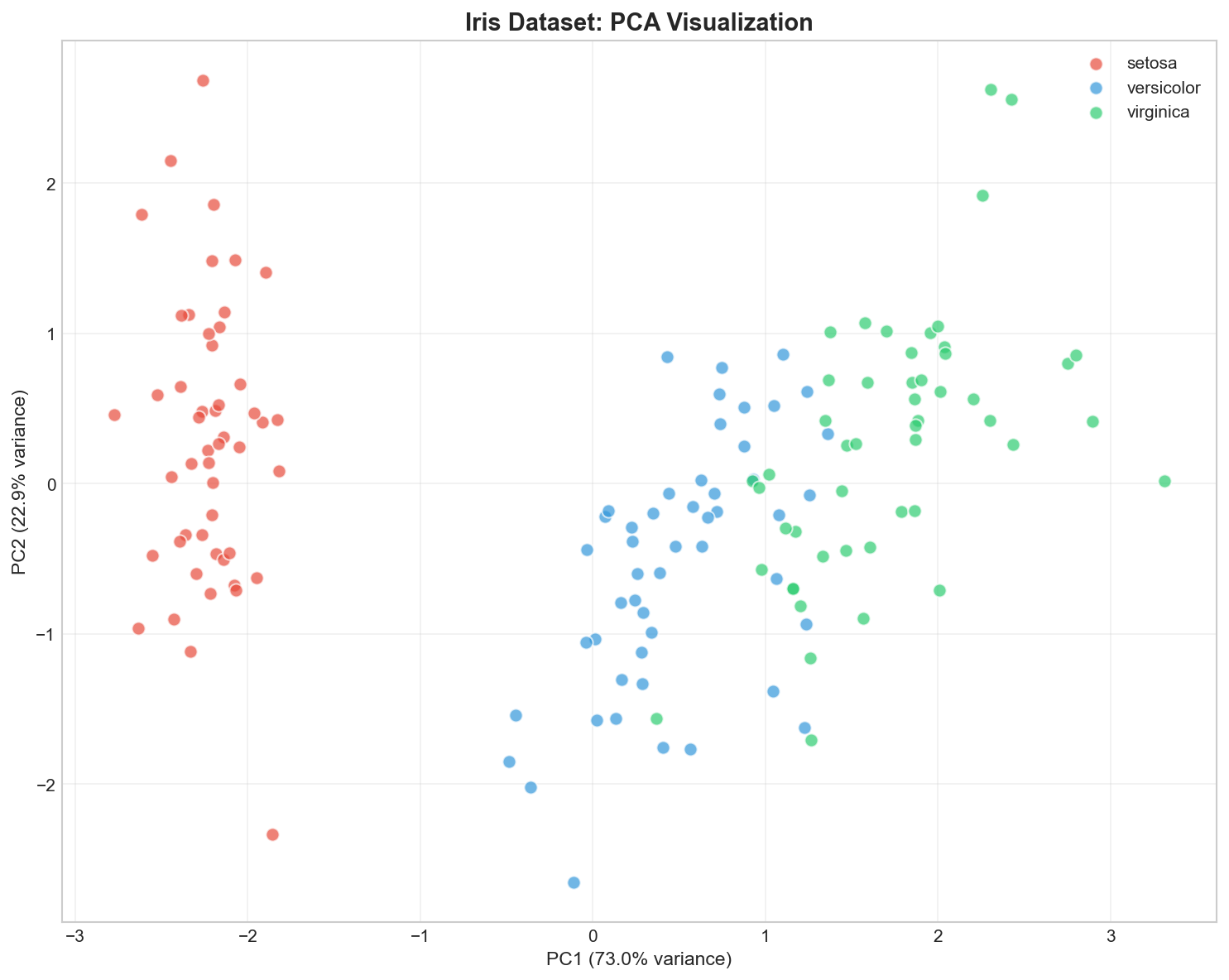 Iris PCA 2D visualization